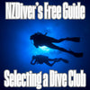 New Zealand Dive Clubs A Free Guide