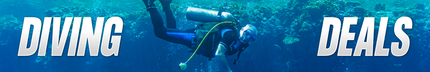 Collection image for: Diving Deals