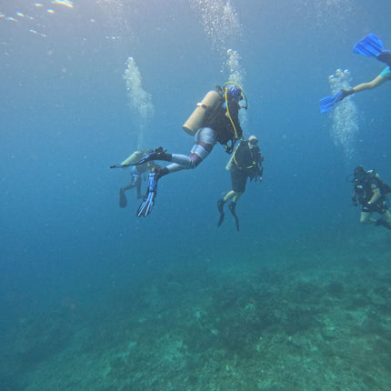 Northern Palawan Dive Adventure May 2027 – 26 Dives Philippines Holiday with NZDiver