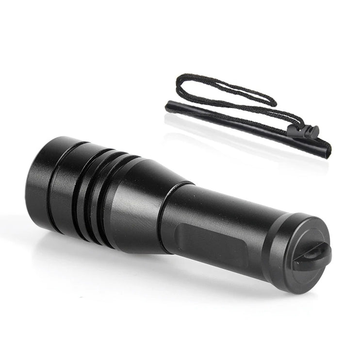 BrightBuddy Micro 80 – Compact Dive Torch including Mask Mount