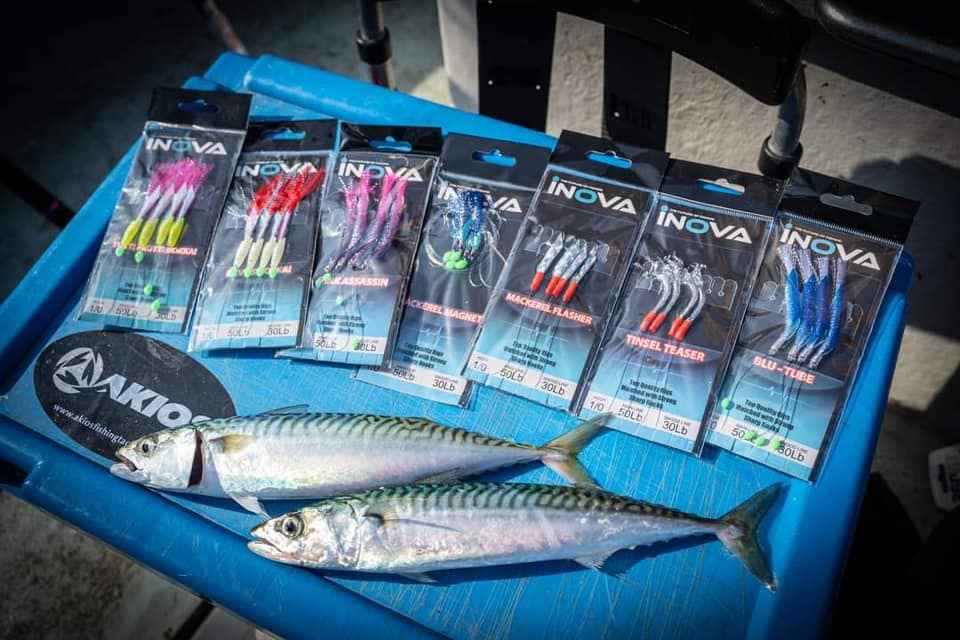 INOVA Bait Flasher Rig – Tinsel Teaser 1/0 Hook | Live Bait Rig NZ